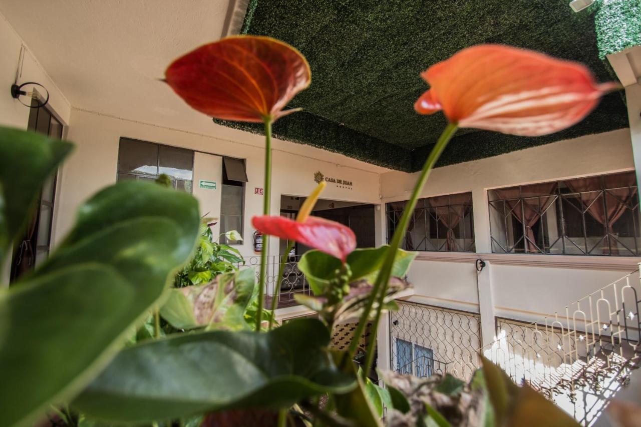Casa De Juan Hostal Xalapa Eksteriør bilde